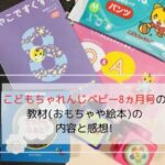 こどもちゃれんじベビー8ヵ月号で届いた教材の写真です。