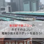 東京駅子鉄プランにおすすめの、電車が見えるスポットの写真です。