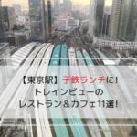 「【東京駅】子鉄ランチに!トレインビューのレストラン&カフェ11選」のアイキャッチ画像です。