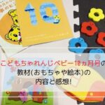 こどもちゃれんじベビー10ヵ月号で届いた教材の写真です。