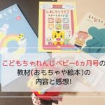 こどもちゃれんじベビー6ヵ月号で届いた教材の写真です。